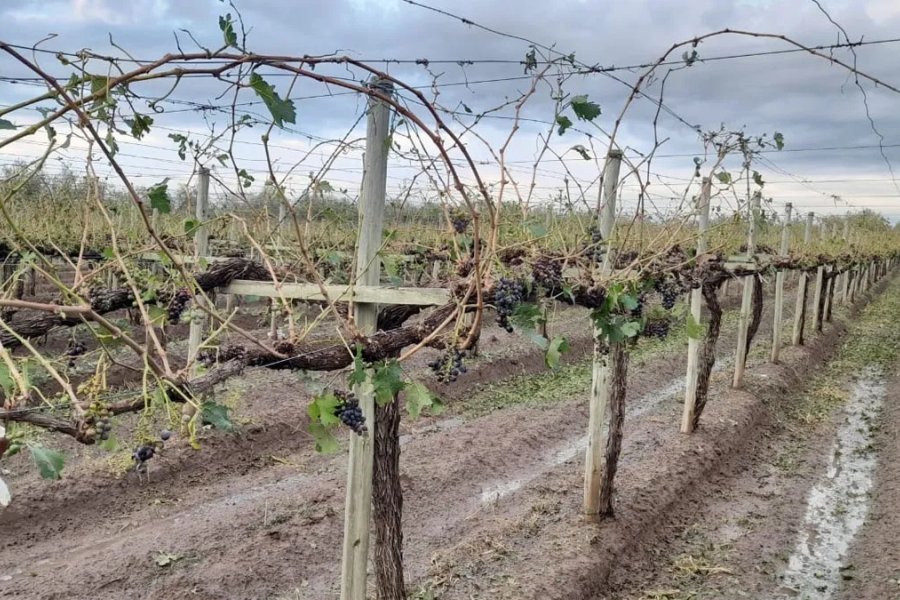 La fuerte tormenta que afect&oacute; al Este provincial.