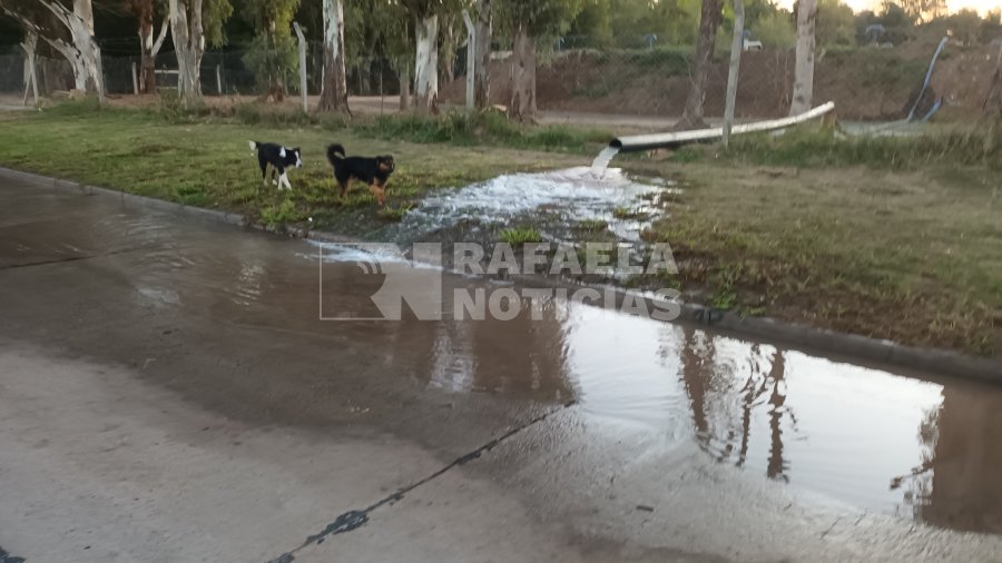 La ca&ntilde;er&iacute;a evacuando agua de la cisterna en proceso de desinfecci&oacute;n.