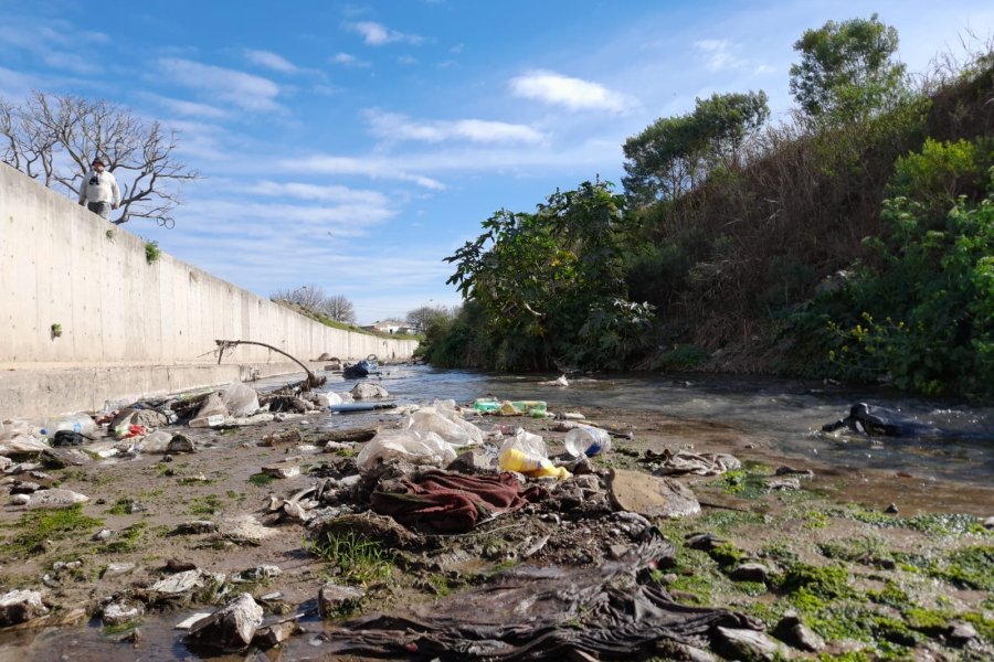 Valores elevados de bacterias coliformes totales en el Canal Norte, con un resultado mayor a 1400 cuando los valores aceptados por el CAA es menos de 3.