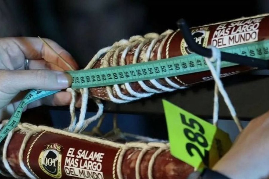 El salame midi&oacute; 310,69 metros y para elaborarlo se utilizaron cientos de kilos de carne porcina e intervinieron m&aacute;s de 100 personas