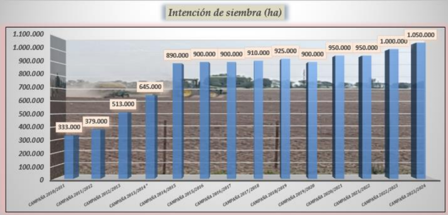 El cuadro refleja la evoluci&oacute;n de la intenci&oacute;n de siembra en los &uacute;ltimos a&ntilde;os.