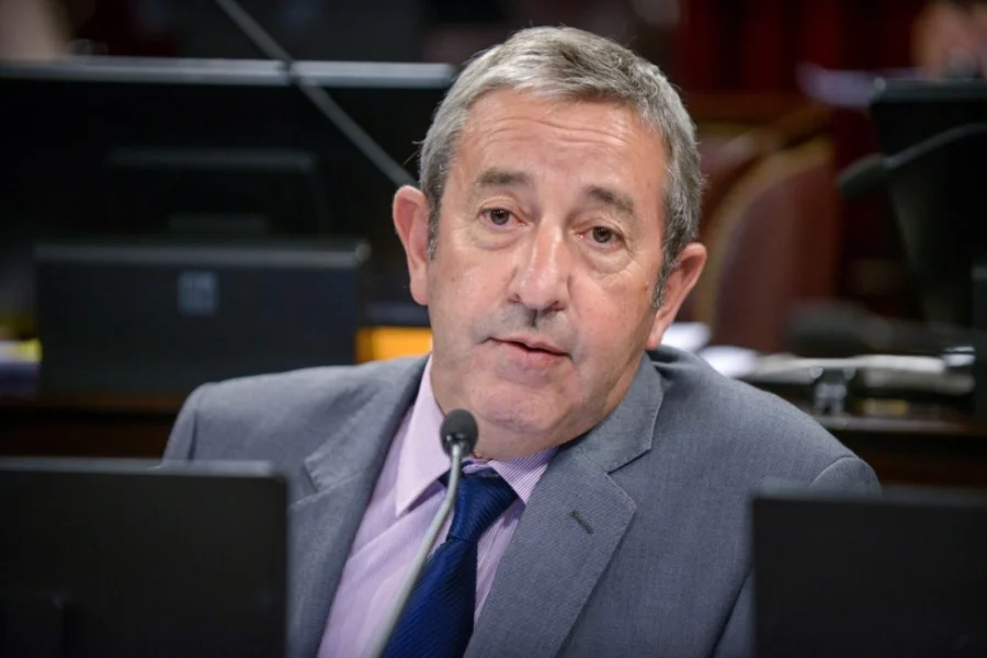 Julio Cobos, diputado nacional