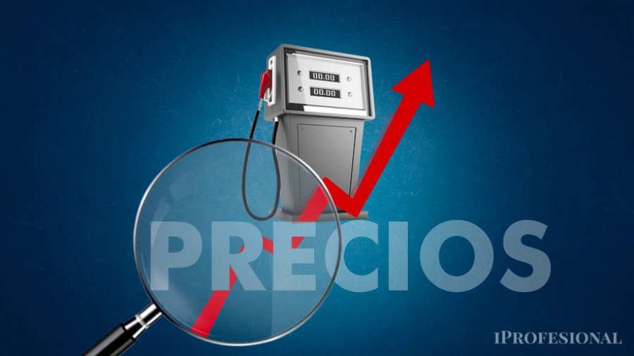 Los combustibles sufrieron un importante ajuste durante el mes de noviembre
