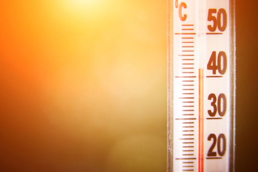 El municipio lanza una serie de recomendaciones ante la ola de calor