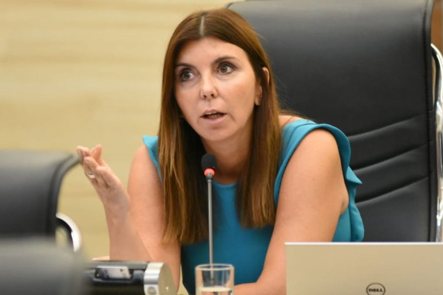 Germana Figueroa Casas, Diputada Nacional por Santa Fe