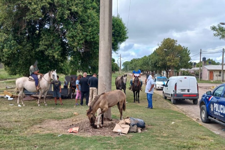 En la intersecci&oacute;n de calles F. Ram&iacute;rez y Cort&aacute;zar se detect&oacute; un equino cercano a la v&iacute;a p&uacute;blica