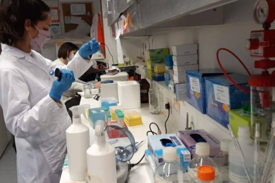 Laboratorio. Con lo poco que ingresa, hoy se est&aacute; manteniendo alguna que otra actividad cient&iacute;fica. La foto s&oacute;lo es ilustrativa.