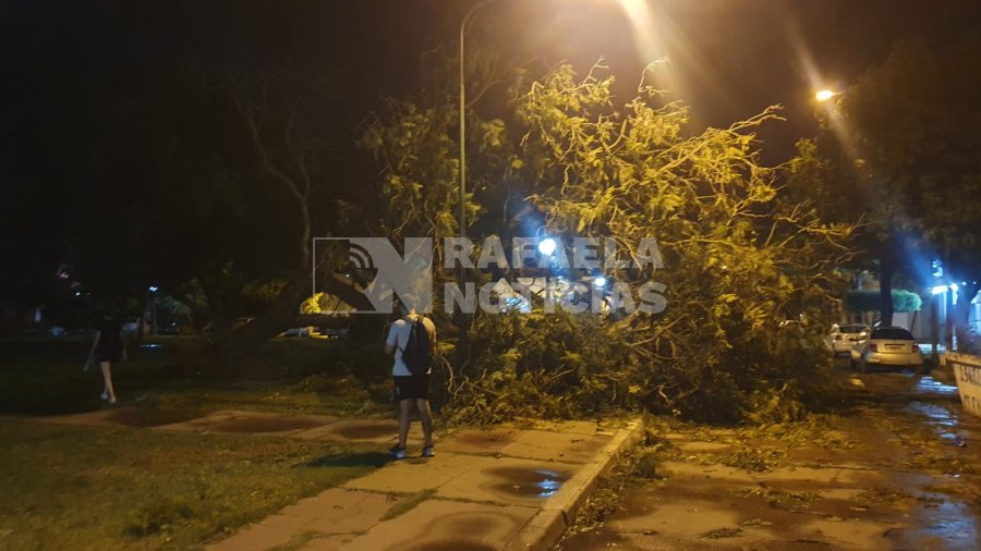 Plaza 9 de Julio