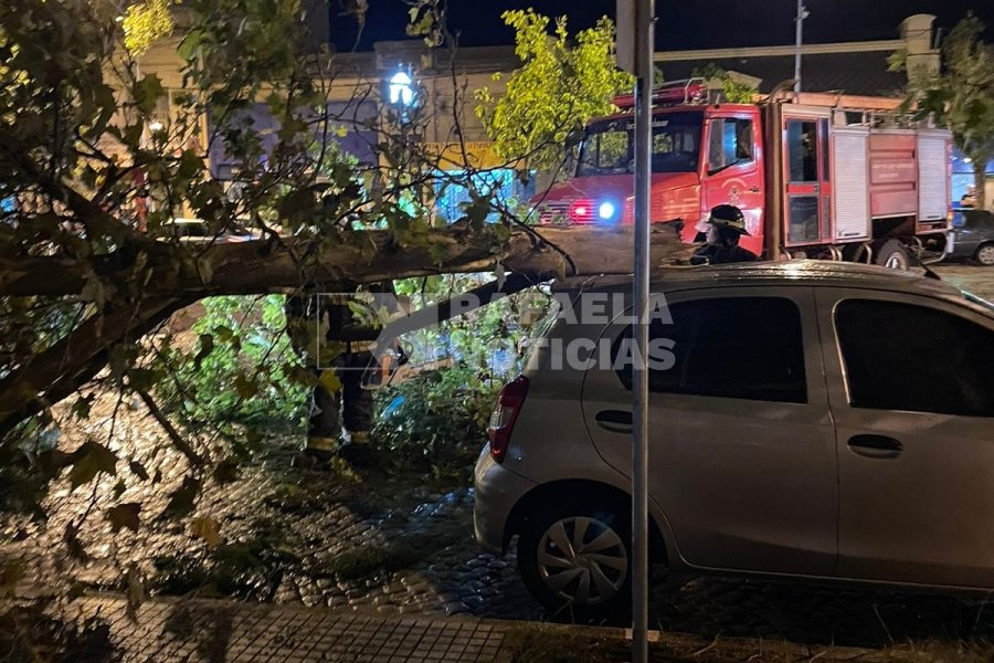 Uno de los autos da&ntilde;ados por la tormenta este mi&eacute;rcoles.