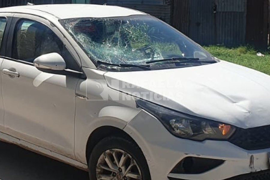 El parabrisas del veh&iacute;culo qued&oacute; destruido.
