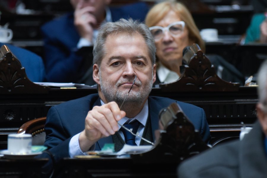 Diputado nacional Roberto Mirabella.
