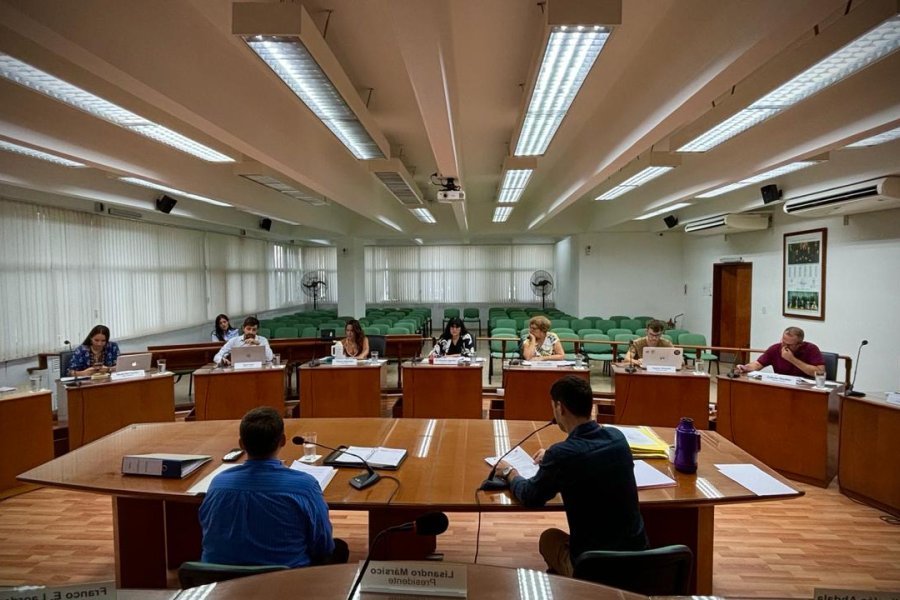 El proyecto se aprob&oacute; por mayor&iacute;a.