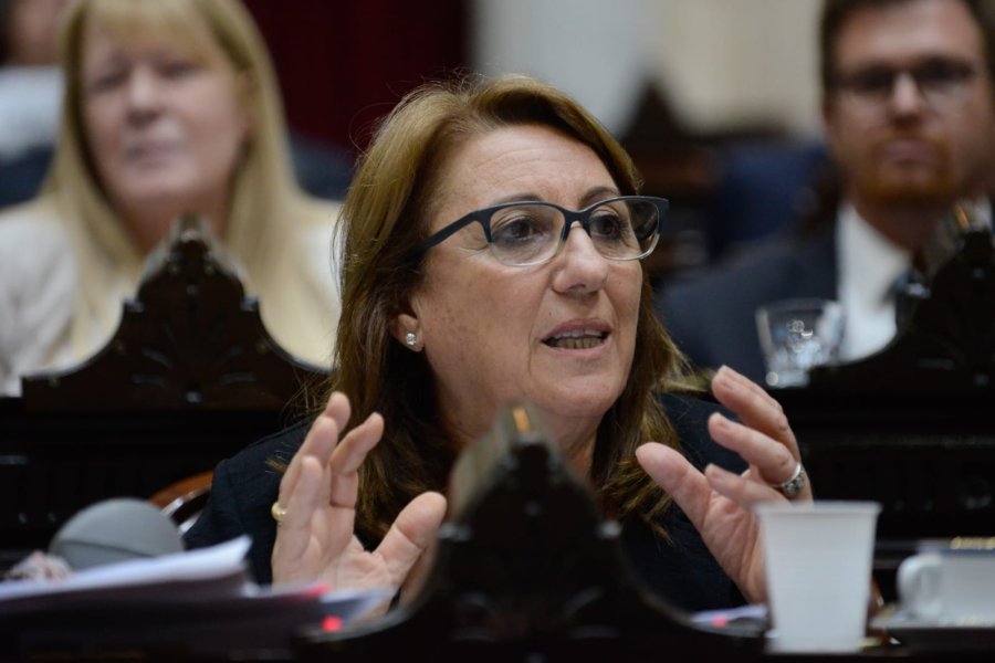 M&oacute;nica Fein, presidenta del Partido Socialista
