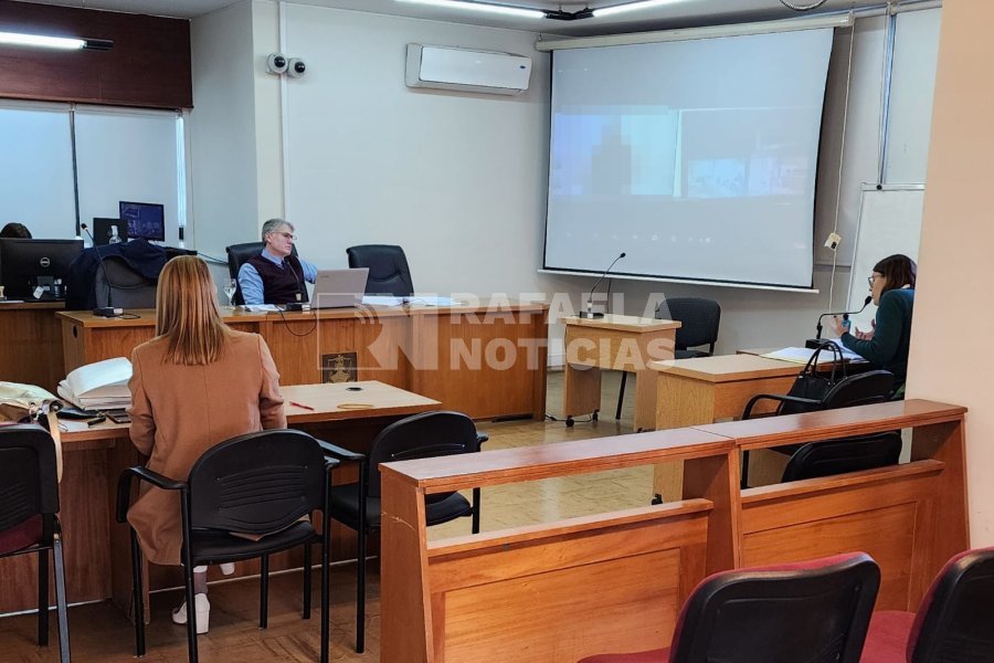 La imputada particip&oacute; de la audiencia via remota.