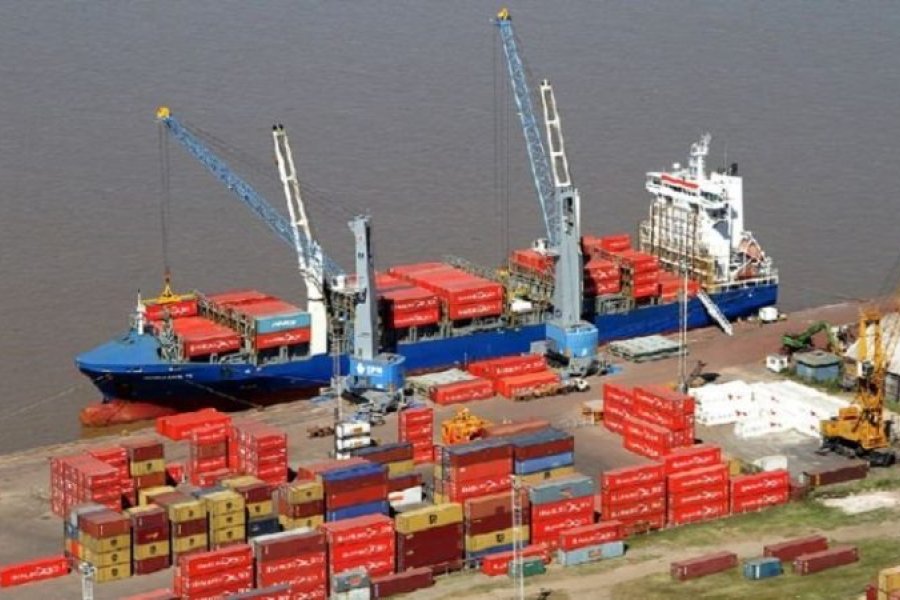 India y Brasil fueron los destinos donde m&aacute;s se ha exportado
