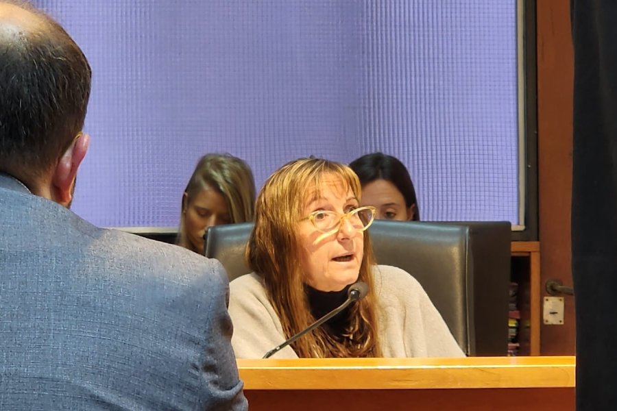 Jueza Cristina Fortunato, durante la audiencia de este mediod&iacute;a.