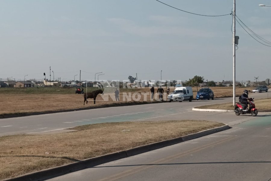 El conductor del veh&iacute;culo escap&oacute; luego del choque