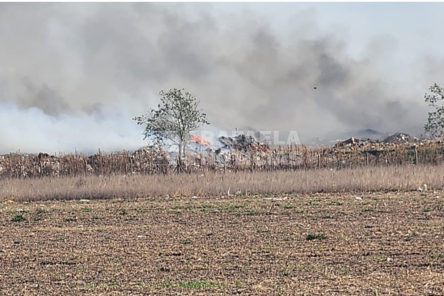La zona donde se registra el incendio.