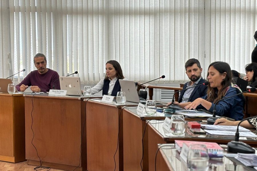 La nueva reglamentaci&oacute;n cont&oacute; con aportes de los distintos bloques.
