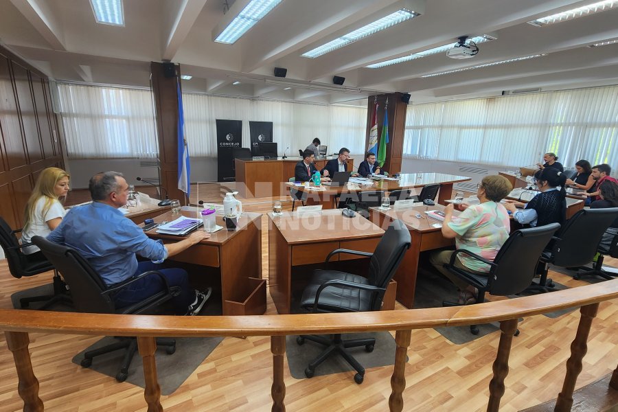 La nota et&aacute; dirigida al presidente del cuerpo