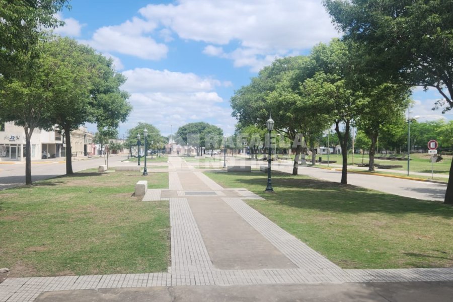 Los canteros centrales de avenida Italia, muy renovados.