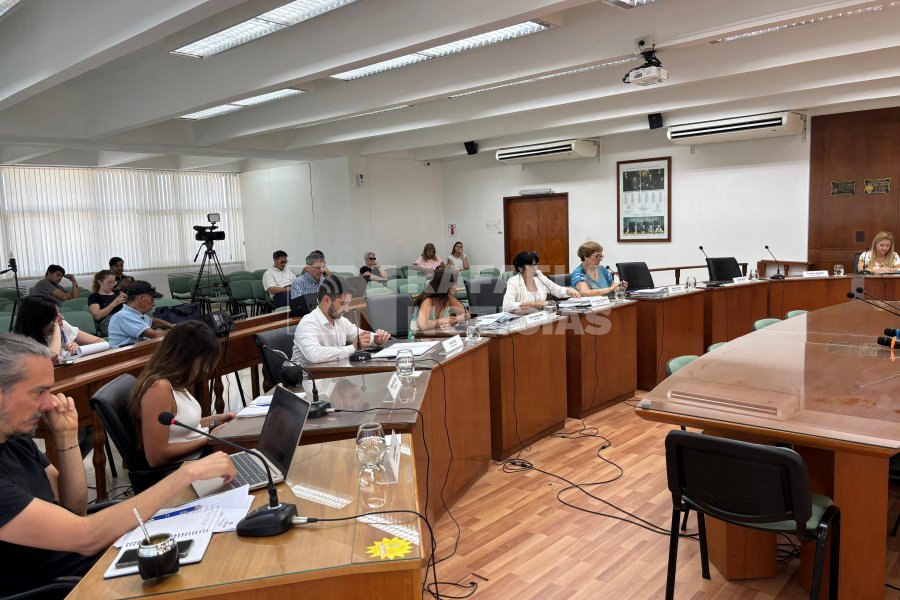 El Concejo realiz&oacute; una sesi&oacute;n extraordinaria como cierre de sus actividades del a&ntilde;o.