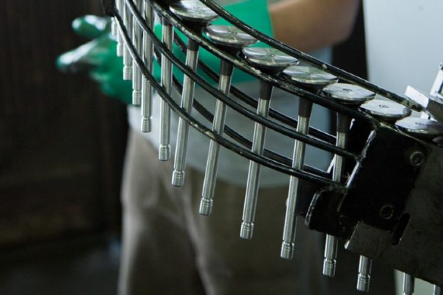 V&aacute;lvulas rafaelinas se producen para el mercado norteamericano.