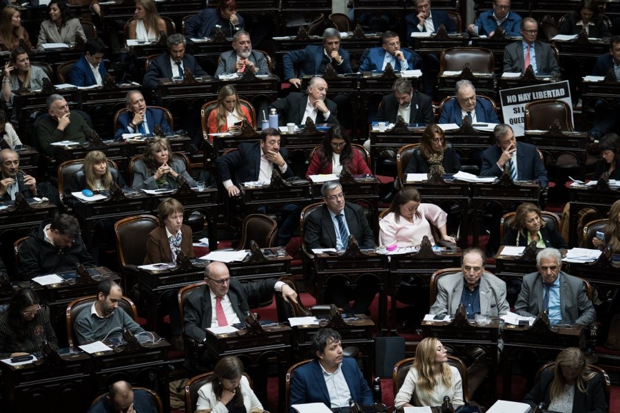 Los bloques de Uni&oacute;n por la Patria y Encuentro Federal motorizan la sesi&oacute;n en Diputados