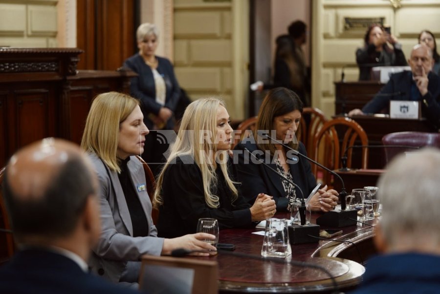 La Dra. Vranich durante su exposici&oacute;n.