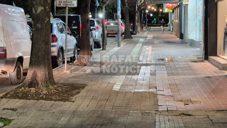 Los &aacute;rboles ser&aacute;n protegidos por cazuelas de hormig&oacute;n.