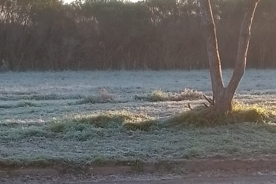 La helada se not&oacute; en los espacios verdes y en &aacute;reas suburbanas con su t&iacute;pico manto blanco.