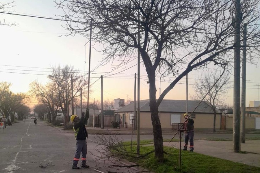 Durante la ejecuci&oacute;n de las tareas, los vecinos podr&iacute;an experimentar cortes parciales de calles.