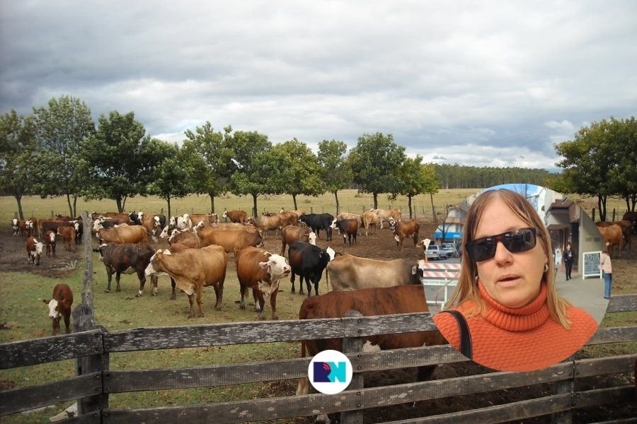 Ang&eacute;lica es uno de los lugares m&aacute;s castigados por este delito.