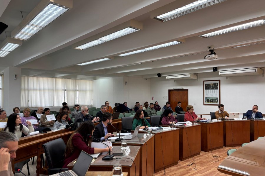 La sesi&oacute;n se desarroll&oacute; este jueves