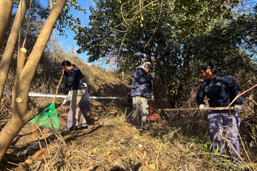Las tareas se desarrollan en el Curv&oacute;n Norte del Aut&oacute;dromo.