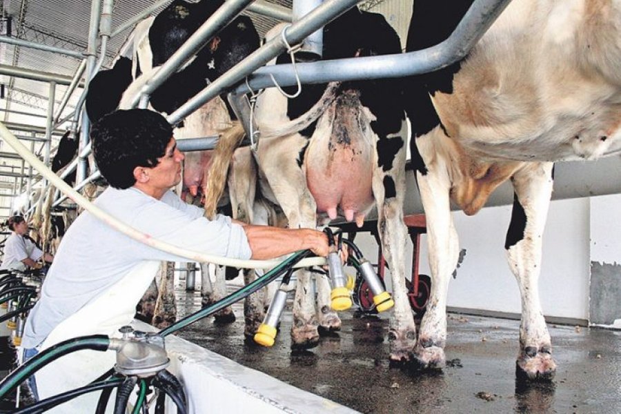 Desde APyMIL se describi&oacute; a la lecher&iacute;a argentina como un sector con alto potencial. Foto: Internet