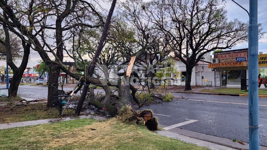 Av. Santa Fe y Paul Harris.