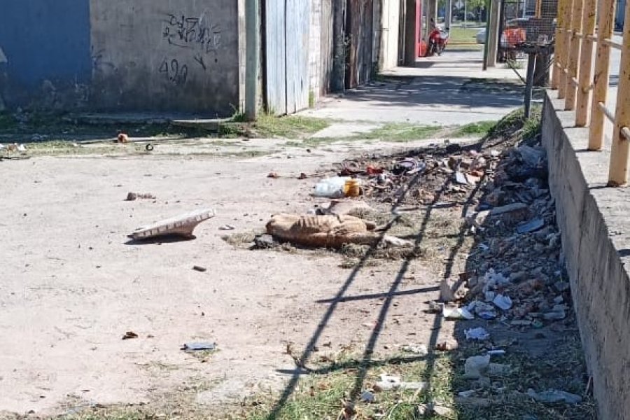 Perro moribundo en medio de la basura.
