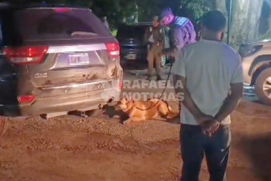 Sasha en acci&oacute;n, alertando sobre la droga en la camioneta.