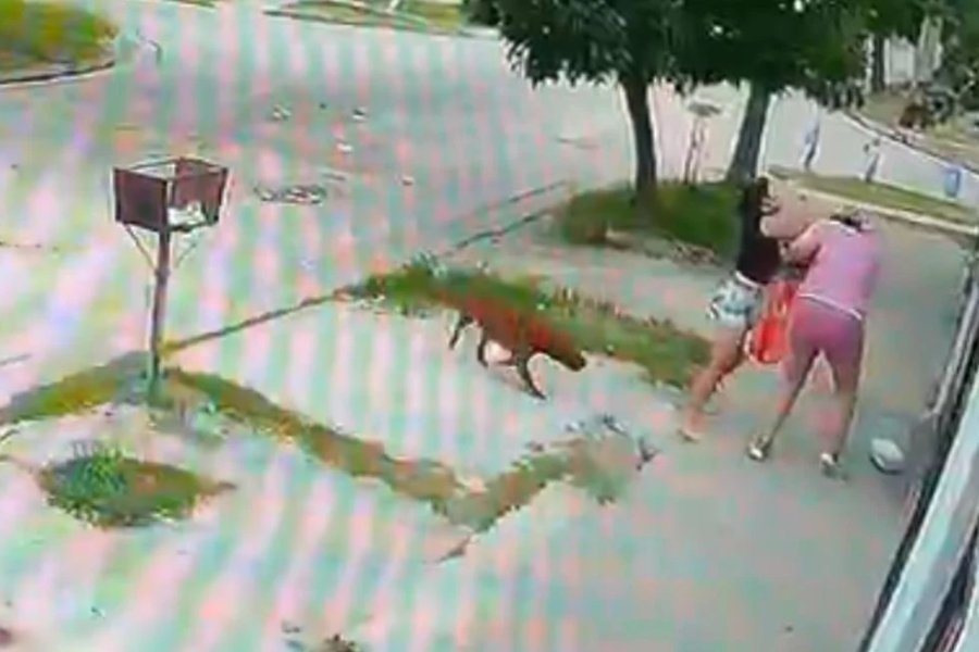 El momento de la agresi&oacute;n, la v&iacute;ctima tiene 29 a&ntilde;os.