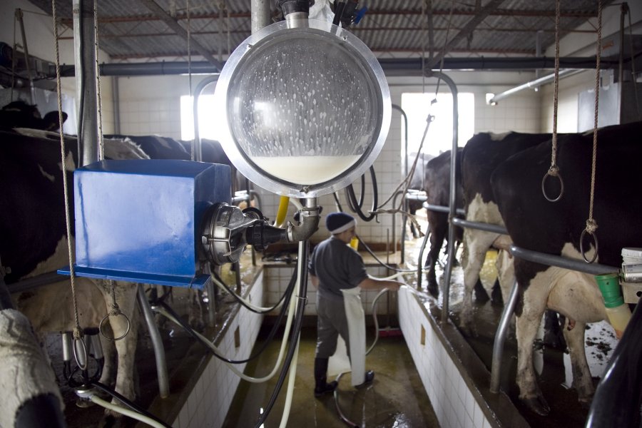El protagonismo de Santa Fe en la producci&oacute;n de leche se mantiene inalterable.
