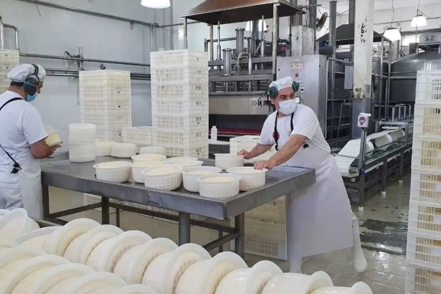La industria l&aacute;ctea argentina enfrenta nuevos desaf&iacute;os.