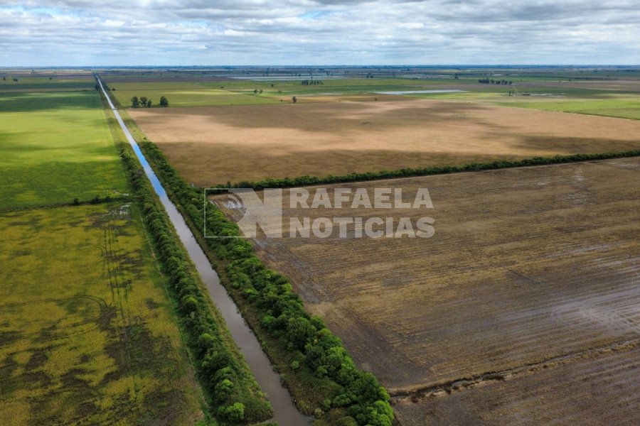 Canal Vila-Culul&uacute; cerca de la RP 70: algunos lotes alcanzaron a ser cosechados antes de la sucesi&oacute;n de lluvias que provoc&oacute; anegamientos.