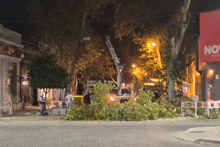 Trabajo de poda en pleno microcentro de Rafaela
